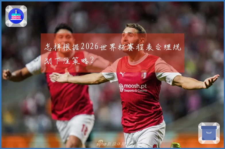 怎样根据2026世界杯赛程表合理规划下注策略？