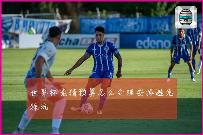 世界杯竞猜预算怎么合理安排避免踩坑