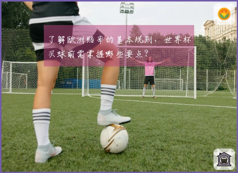 了解欧洲赔率的基本规则，世界杯买球前需掌握哪些要点？
