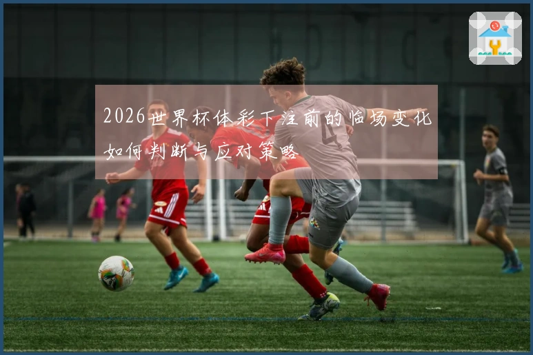 2026世界杯体彩下注前的临场变化如何判断与应对策略